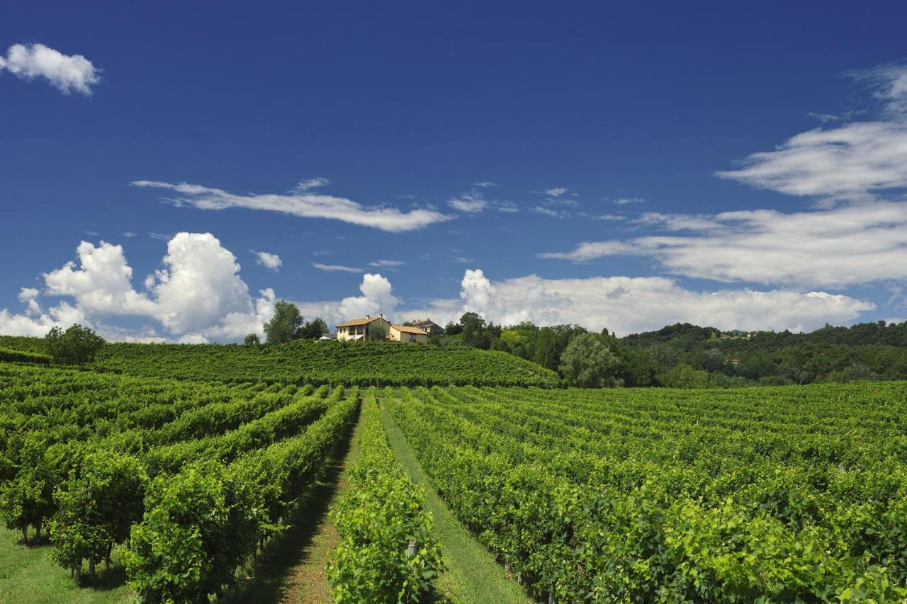 Agriturismo Moro Barel 维托里奥·威尼托 外观 照片